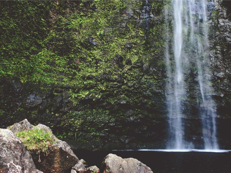 sudoku expert screenshot 5